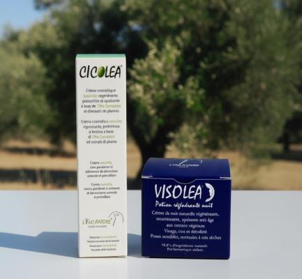 SORPRESA PRODIGIOSA NOTTE