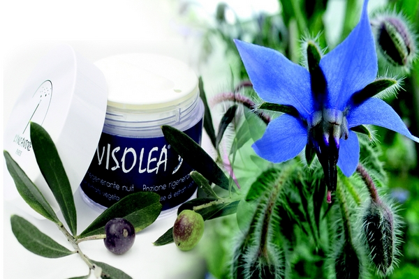 VISOLEA REGENERATING NIGHT POTION