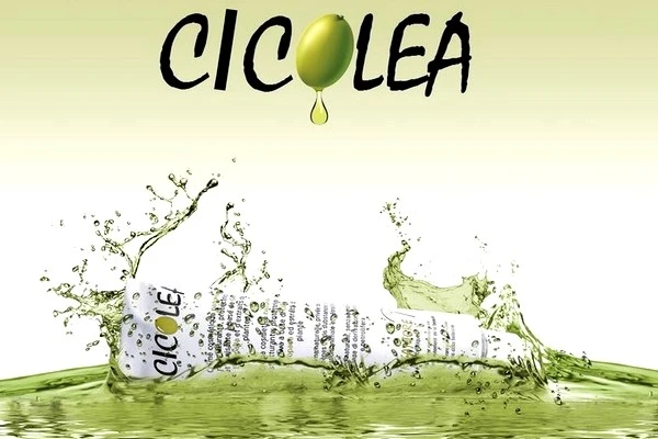 CICOLEA