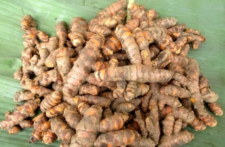 l'incantore le curcuma pour peau acneique et soin de beauté