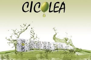 cicolea